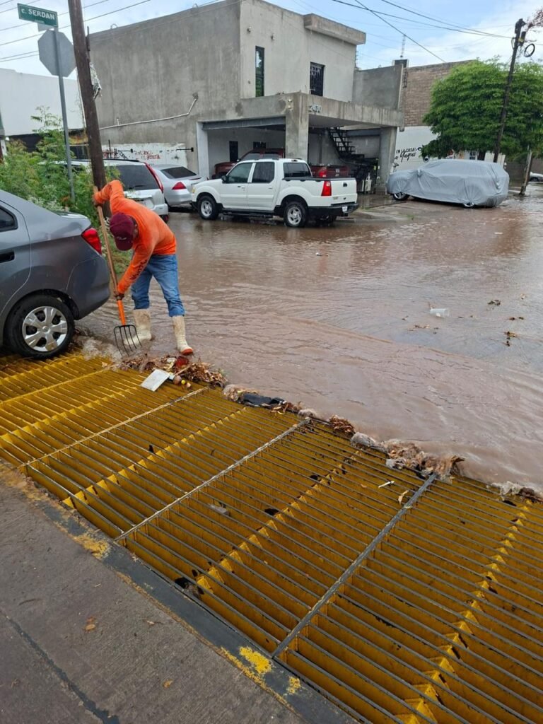 Ahome mantiene operativo preventivo por lluvias; brigadas limpian alcantarillas y bocas de tormenta