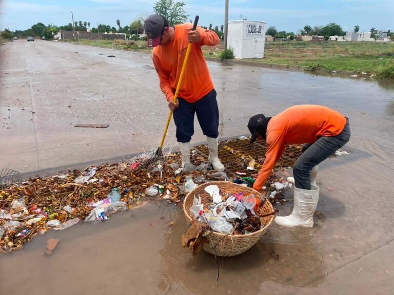 COMUN retira basura del dren Bayoneta y restablece el flujo de agua en Nuevo Siglo